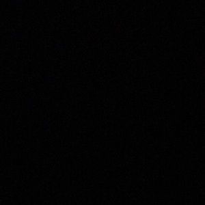 Meet your Posher, Ann marie